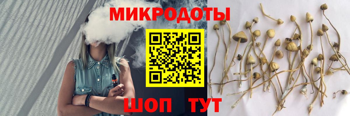 Псилоцибиновые грибы Magic Shrooms  как найти закладки  Югорск  Вход с VPN 